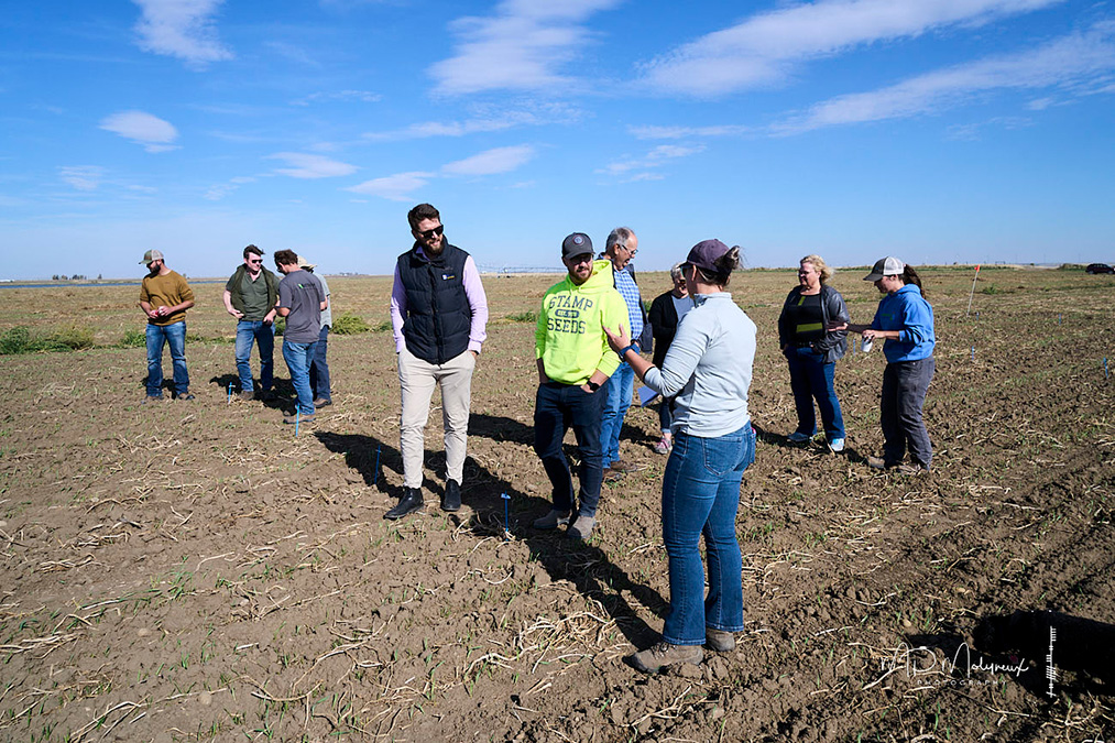 agronomy research