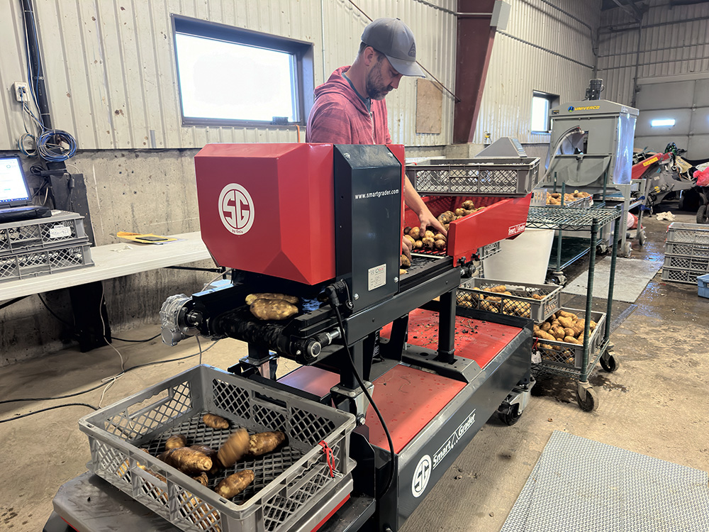 Lewis Baarda sends a batch of potatoes through Farming Smarter's SmartGrader for data analysis